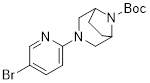 tert-butyl 3-(5-bromopyridin-2-yl)-3,8-diazabicyclo[3.2.1]oc