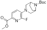 tert-butyl 3-(2-fluoro-6-(methoxycarbonyl)pyridin-3-yl)-3,8-