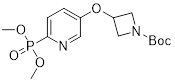 tert-butyl 3-((6-(dimethoxyphosphoryl)pyridin-3-yl)oxy)azeti